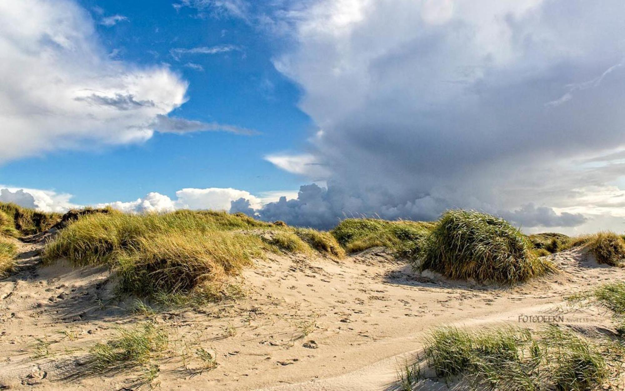 Strandmatte Sankt Peter-Ording Dış mekan fotoğraf